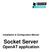 Installation & Configuration Manuel. Socket Server. OpenAT application