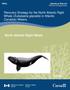 How To Increase The Population Abundance Of North American Right Whales In Canada
