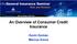 An Overview of Consumer Credit Insurance
