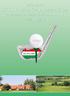 MKB Bank XXVIII. European Championship and Cup of European Senior Golf Associations 2009 Hungary