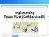 Implementing Power Pivot (Self-Service BI)