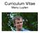 Curriculum Vitae Manu Luyten