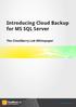 Introducing Cloud Backup for MS SQL Server The Cloudberry Lab Whitepaper