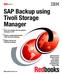 SAP Backup using Tivoli Storage Manager