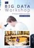 BIG DATA. Workshop. 16 th European Health Forum Gastein REPORT - OCTOBER 2013