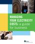 MANAGING YOUR ELECTRICITY COSTS: a guide for business