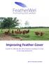 Improving Feather Cover. A guide to reducing the risk of injurious pecking occurring in non-cage laying hens. 2013 University of Bristol