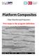 Platform Composites. Fiber Reinforced Polymers First steps in the program definition