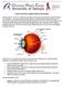 Vision Correction Surgery Patient Information
