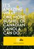 THE CANOLA COUNCIL OF CANADA STRATEGIC PLAN IT S AMAZING WHAT ONE MORE BUSHEL OF CANADIAN CANOLA CAN DO.