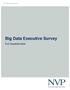 Big Data Executive Survey