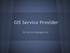 GIS Service Provider. GIS Service Management