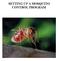 How To Control A Mosquito