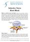 Selective Nerve Root Block