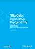 Big Data: Big Challenge, Big Opportunity A Globant White Paper By Sabina A. Schneider, Technical Director, High Performance Solutions Studio
