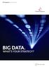 BIG DATA. WHAT S YOUR STRATEGY?
