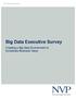 Big Data Executive Survey