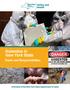 Asbestos in New York State. Facts and Responsibilities