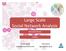 Large Scale Social Network Analysis