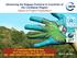 Advancing the Nagoya Protocol in Countries of the Caribbean Region -Status of Project Preparation-