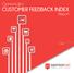 CUSTOMER FEEDBACK INDEX