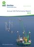 Annual HSE Performance Report 2013