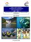 PAPUA NEW GUINEA TOURISM SECTOR REVIEW AND MASTER PLAN (2007 2017) GROWING PNG TOURISM AS A SUSTAINABLE INDUSTRY FINAL REPORT