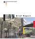 B r i e f R e p o r t