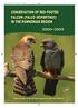 CONSERVATION OF RED-FOOTED FALCON (FALCO VESPERTINUS) IN THE PANNONIAN REGION 2006 2009