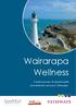 Wairarapa Wellness. A brief overview of mental health and addiction services in Wairarapa.