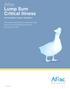 Aflac Lump Sum Critical Illness