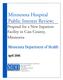 Minnesota Hospital Public Interest Review: Proposal for a New Inpatient Facility in Cass County, Minnesota