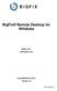 BIGFI X. BigFix Remote Desktop for Windows. BigFix, Inc. Emeryville, CA. Last Modified: 9/13/07 Version 1.0. 2007 BigFix, Inc.