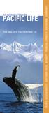 AN INTRODUCTION TO PACIFIC LIFE THE VALUES THAT DEFINE US