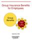 Group Insurance Benefits for Employees