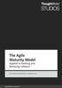 The Agile Maturity Model. Applied to Building and Releasing Software. www.thoughtworks-studios.com