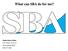 What can SBA do for me? Alaska District Office 510 L Street, Suite 310 Anchorage AK 99501 (907)271-4022