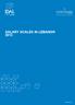 SALARY SCALES IN LEBANON 2013