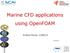 Marine CFD applications using OpenFOAM