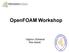 OpenFOAM Workshop. Yağmur Gülkanat Res.Assist.