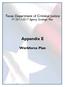 Appendix E Workforce Plan