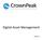 Digital Asset Management. Version 1.0