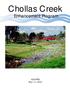 Chollas Creek. Enhancement Program
