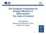 The European Programme for Energy Efficiency in Data Centres: The Code of Conduct. Paolo Bertoldi European Commission DG JRC Institute for Energy