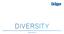 DIVERSITY ANNUAL REPORT 2012