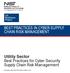 BEST PRACTICES IN CYBER SUPPLY CHAIN RISK MANAGEMENT