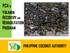 PCA s YOLANDA RECOVERY AND REHABILITATION PROGRAM PHILIPPINE COCONUT AUTHORITY