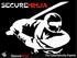 SecureNinja. SecureNinja. The CyberSecurity Experts