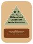 Montana Maternal and Child Health Needs Assessment