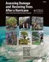 Assessing Damage and Restoring Trees After a Hurricane